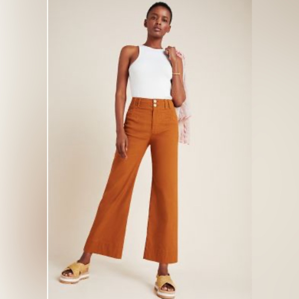 Anthropology Emma cropped wide leg pants size 29
